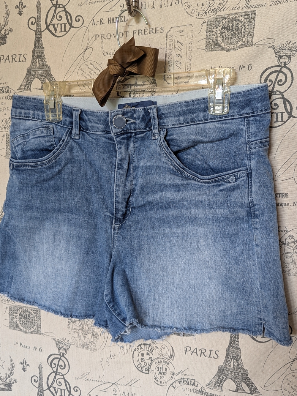 Democracy AB-solution Vintage Wash Denim Shorts Size 12